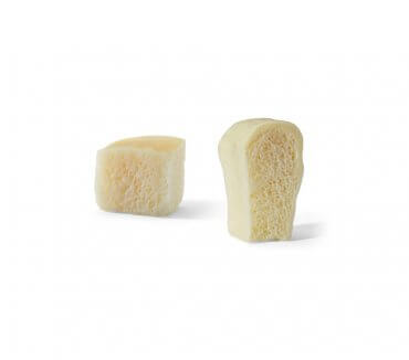 Traditional Allografts